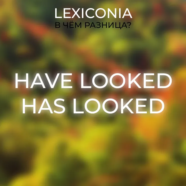Have Looked и Has Looked: разница в использовании глаголов