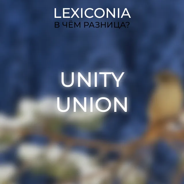 Схожие, но не одинаковые: Unity и Union